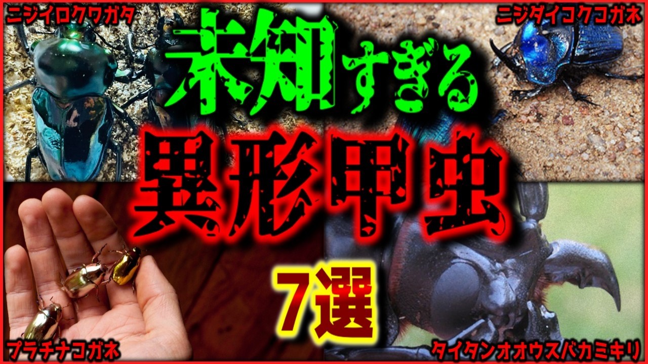 【閲覧注意】未知の生物?! 常軌を逸した姿の甲虫 7選（カブトムシ・クワガタ・コガネムシ）【ゆっくり解説/作業用BGM/睡眠用/9割が知らない】