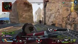 APEX　カービンの相棒募集中