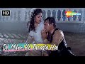 Dil Milne Ko Tarasta Hai Govinda Ayesha Jhulka Alka Yagnik Hit Love Songs Ekka Raja Rani Song