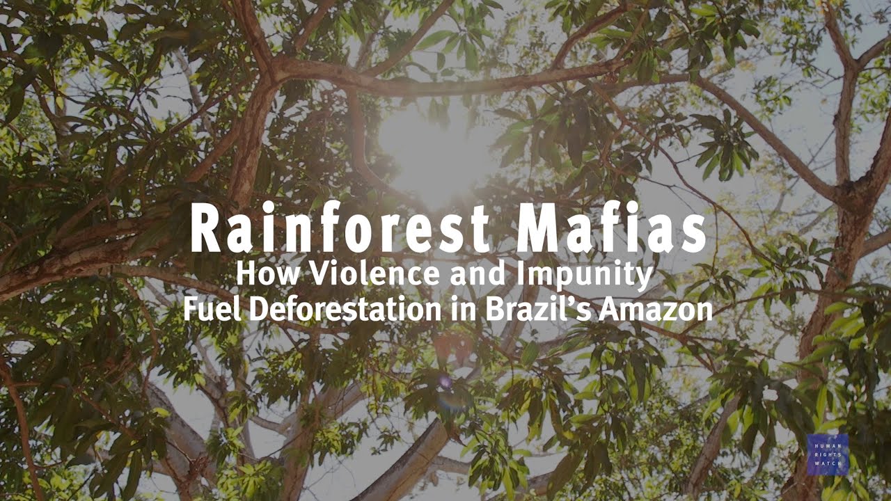201909AME_Brazil_Rainforest_Defenders_photo