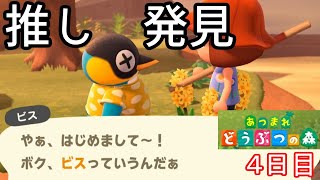 無人島で会うなんて運命やん？「あつまれ どうぶつの森」実況【４日目】