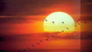 Mana -Tengo muchas alas-