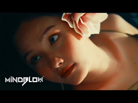 Mindblow x Carla Stefani x Grooveboy - Too Sweet | Visualizer