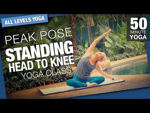 Standing Head to Knee Peak Pose Yoga Class - Five Parks Yoga - 45+ Minute Class