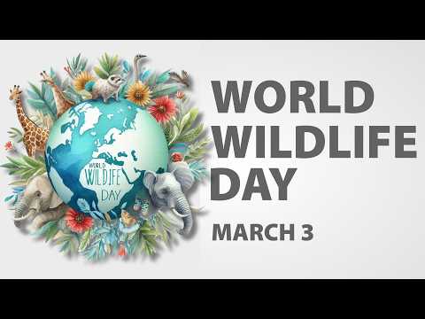 World Wildlife Day 2026 - Medicinal and Aromatic Plants: Conserving Health, Heritage and Livelihoods