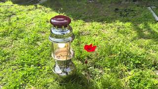 The Optimus 1550 /500CP  pressure kerosene lantern and the Anemone - 2