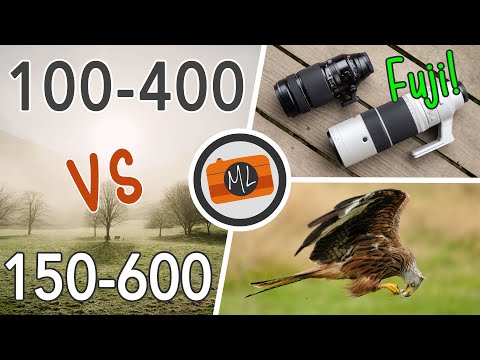Fujifilm 100-400mm vs 150-600mm - Full Comparison!
