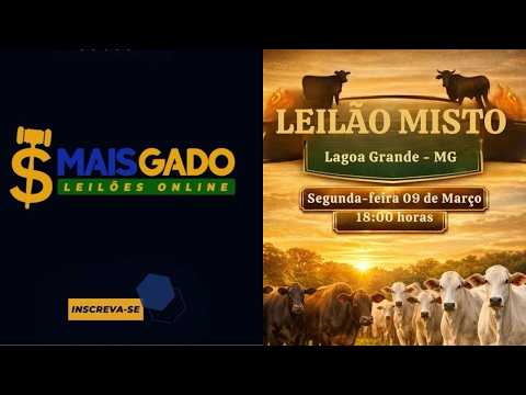 🐂🐄🐃 LEILÃO MISTO DE BOVINOS - LAGOA GRANDE/MG - MAIS GADO LEILÕES 🐂🐄🐃