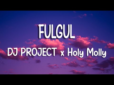 DJ PROJECT x Holy Molly - Fulgul | Versuri