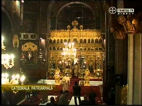 Heruvic glas 5 De Ion Popescu Pasarea