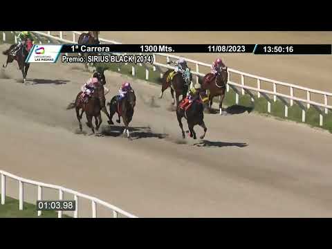 11/08/2023 – Hipodromo Las Piedras – Carr 1 – SIRIUS BLACK (2014)