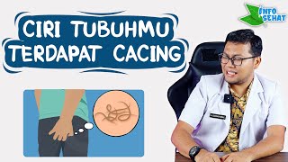 Download lagu GEJALA YANG MUNCUL SAAT ADA CACING KREMI - DOKTER SADDAM ISMAIL mp3 Download lagu GEJALA YANG MUNCUL SAAT ADA CACING KREMI - DOKTER SADDAM ISMAIL mp3