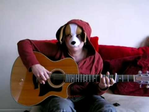 Spanky the Spaniel plays Big Love by Fleetwood Mac on guitar