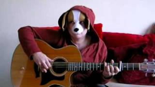 Spanky the Spaniel plays Big Love by Fleetwood Mac on guitar
