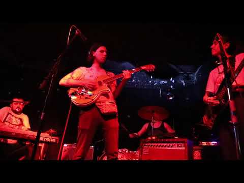 Bellows at Alphaville August 2, 1019