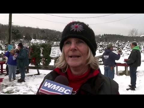 Christmas Tree Cutting