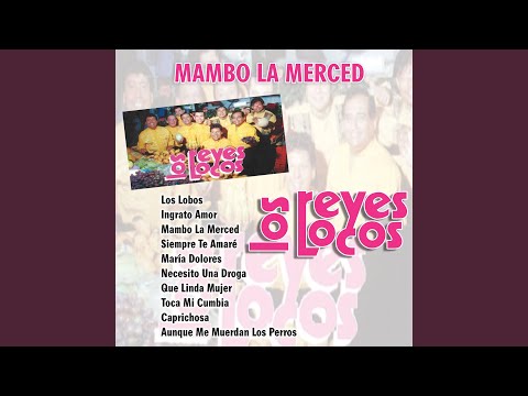 Mambo La Merced