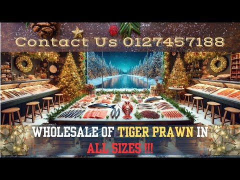 Udang Harimau Terbaik untuk Restoran & Perniagaan Makanan Laut | Semua Saiz Tersedia