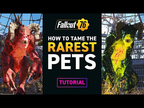 TAME THE RAREST PETS for your CAMP – Fallout 76 Tutorial