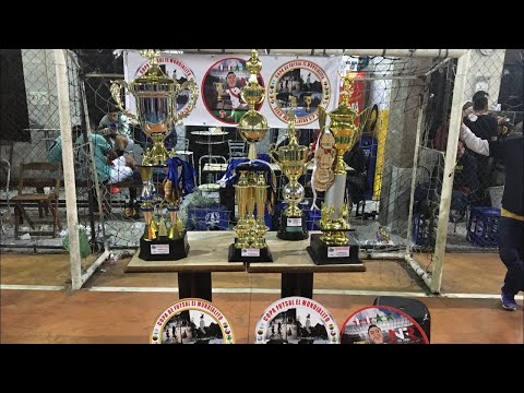 PREMIAÇÃO FINAL SERIE OURO Y SERIE PRATA