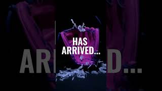 Video thumbnail: Marucci Cypress 12" Baseball Glove: MFG2CY45A3-NB/CB