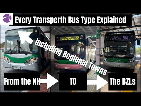 Every Transperth Bus Type Explained