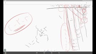 صورة @FawaidAlQasim | الرحبية | باب المناسخة | ١٤٣٩/٠١/٢٦ ھ | للشيخ د. عبدالمحسن القاسم