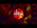 Missy Elliott Pass The Dutch X Gangstarr Skills Silkcutz Refix