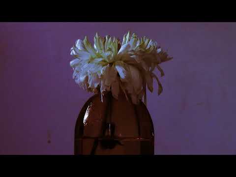WELCOME STRAWBERRY video