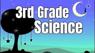 3rd Grade Science Compilation