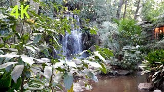 4K 60p Tokyo Nanushi water fall park Japan trip  名主の滝公園