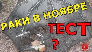 Ловля рака на раколовку в ноябре