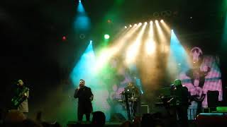 Compact Disco - Fly or Dive