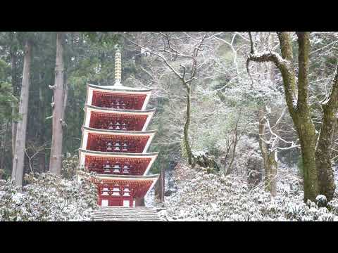 nara 1min011uda murouji