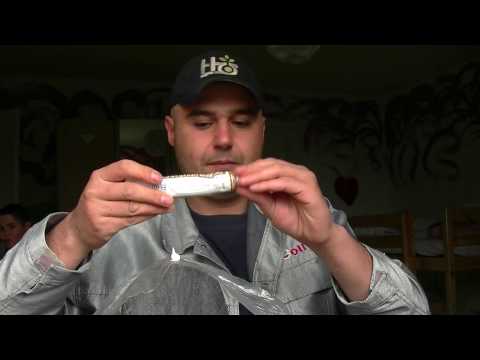 Pilze und Warzen richtig behandeln wie