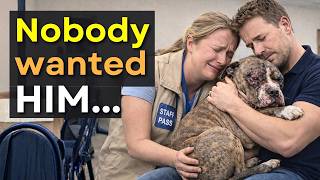 We Let Dogs Pick Their Humans on Adoption Day And THIS Happened 💔