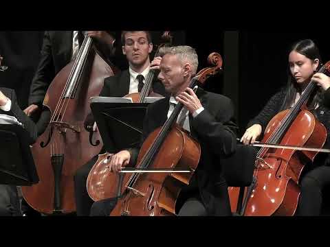 André Hajdu: Divertimento for String Orchestra | The Israel Camerata Jerusalem | Oliver Weder