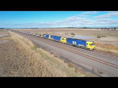 7731V Pacific National Grain Train Arrives At Gheringhap (24/4/2022) - PoathTV Australian Railways