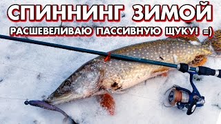 Ссылка