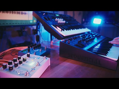 Ambient Set - Take 5, Wavestate, Microcosm, Big Sky - Tefty & Meems