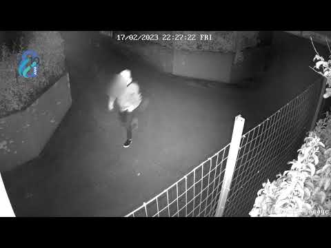 GROSSETO - Furto di bici  ladri in azione