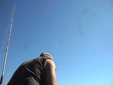 PESZI HALASZAT TENGER