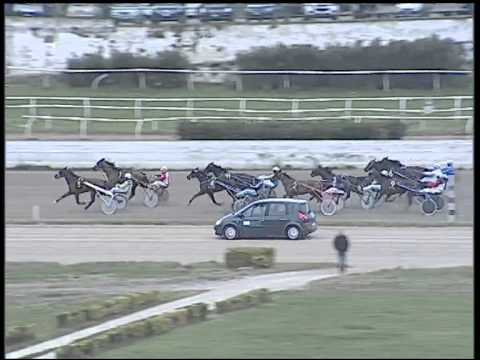 Trotto 29/01/2015 - 2° Corsa