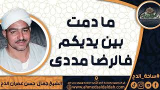 الشيخ – جمال حسن عمران الدح(ما دمت بين يديكم فالرضا مددى)
