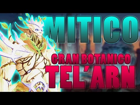 Miracle vs. High Botanist Tel'Arn Mythic + Fails - DH DPS POV