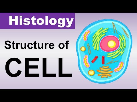 Chp02 Histology Inder Bir Singh | Structure of CELL | Histology Lectures