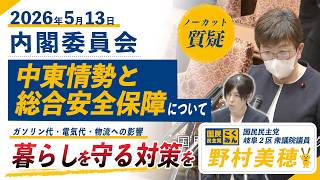 【国民民主党 野村美穂 質疑】26/5/13経済安全保障推進法改正案について質問しました