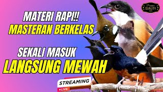 Download lagu KOMBINASI MASTERAN KASARAN KASAR || BESETAN -CUNGKOK GEREJA TARUNG - TEPUS || KUNTI MENJERIT PANJANG mp3 Download lagu KOMBINASI MASTERAN KASARAN KASAR || BESETAN -CUNGKOK GEREJA TARUNG - TEPUS || KUNTI MENJERIT PANJANG mp3