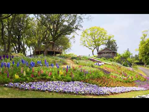 【4K】高知県立牧野植物園（The Kochi Prefectual Makino Botanical Garden）
