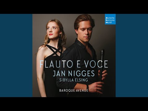 Concerto Pastorale in F Major: VI. Chaconne